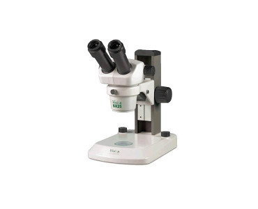 Microscopios binoculares